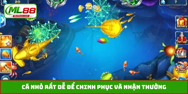 Cá nhỏ rất dễ để chinh phục và nhận thưởng