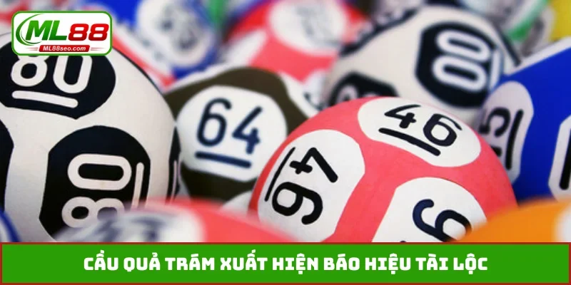 Cầu quả trám xuất hiện báo hiệu tài lộc