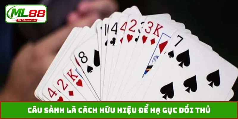 Câu sảnh là cách hữu hiệu để hạ gục đối thủ