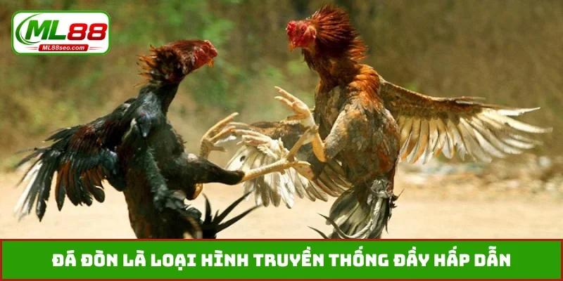 Đá đòn là loại hình truyền thống đầy hấp dẫn